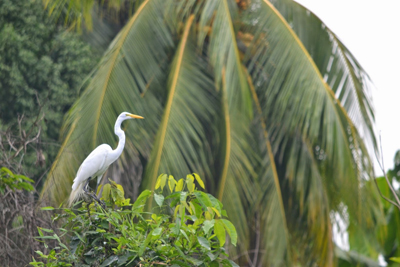 La Maroma, primer caño ecoturístico del Zulia 4 1550 Cano%20de%20la%20Maroma7%20lenin%20cardozo
